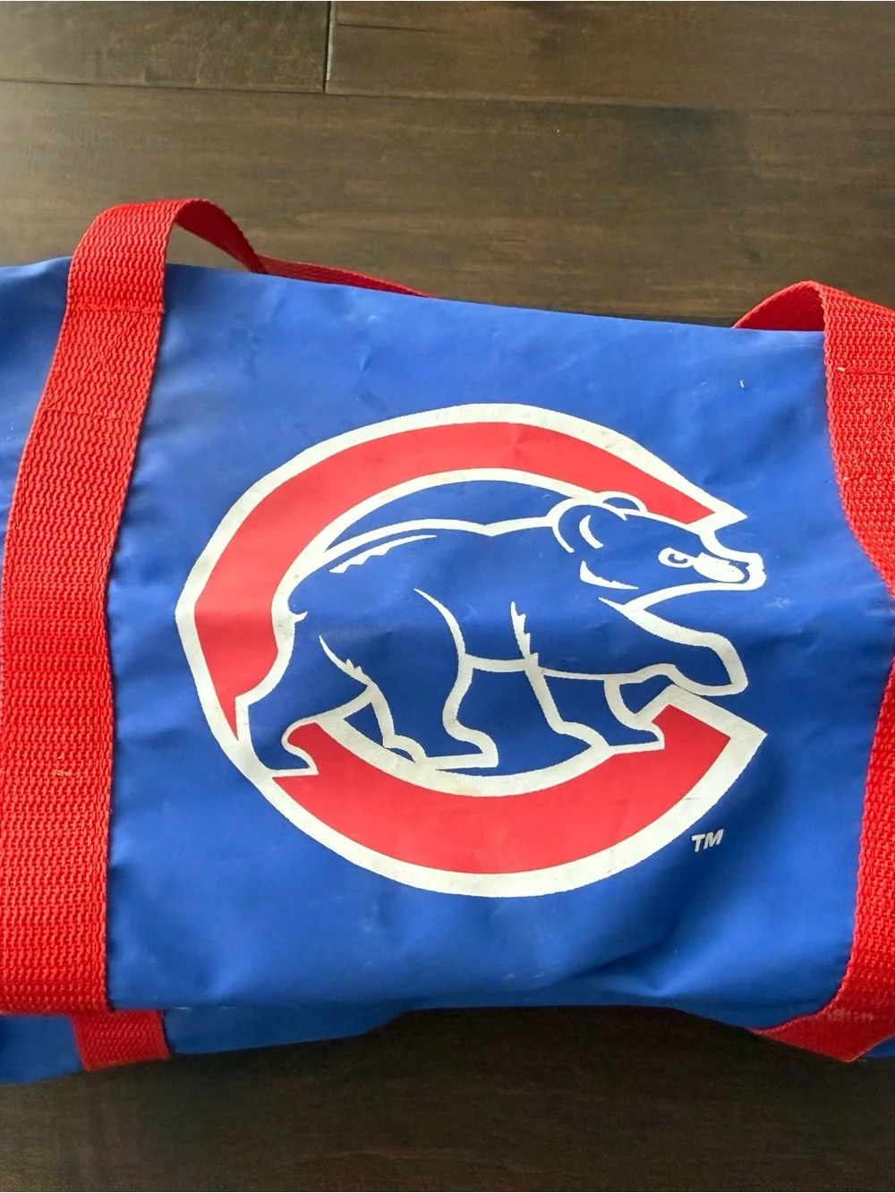 Vintage Chicago Cubs duffel bag